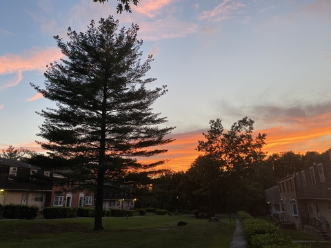 aaliyahhazexxx onlyfans leaked picture 2