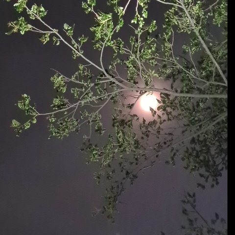 angel_summer onlyfans leaked picture 2