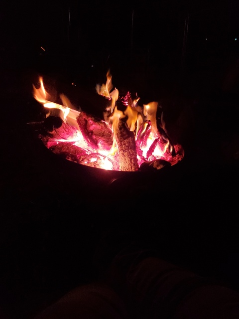 ashycat onlyfans leaked picture 2