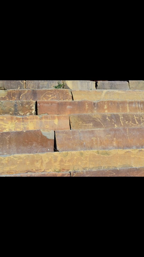 baneshadows onlyfans leaked picture 2