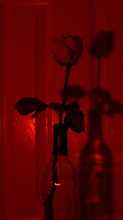 bbwmoon23 onlyfans leaked picture 2