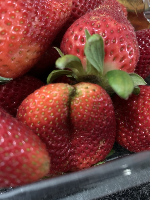 bearthegoblin onlyfans leaked picture 2