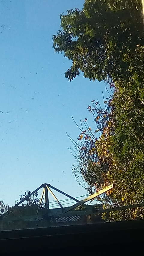 big-dick-josh onlyfans leaked picture 2