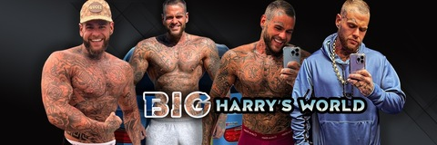 bigharrys onlyfans leaked picture 2