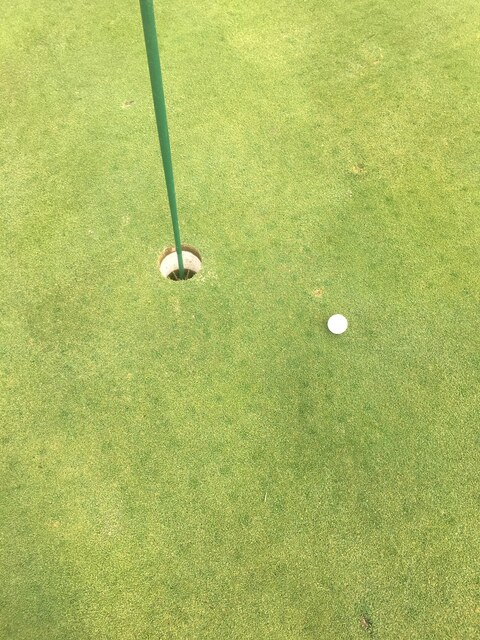 blainehampton14 onlyfans leaked picture 2