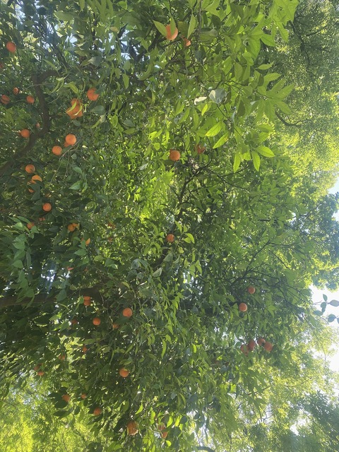 blinkx onlyfans leaked picture 2