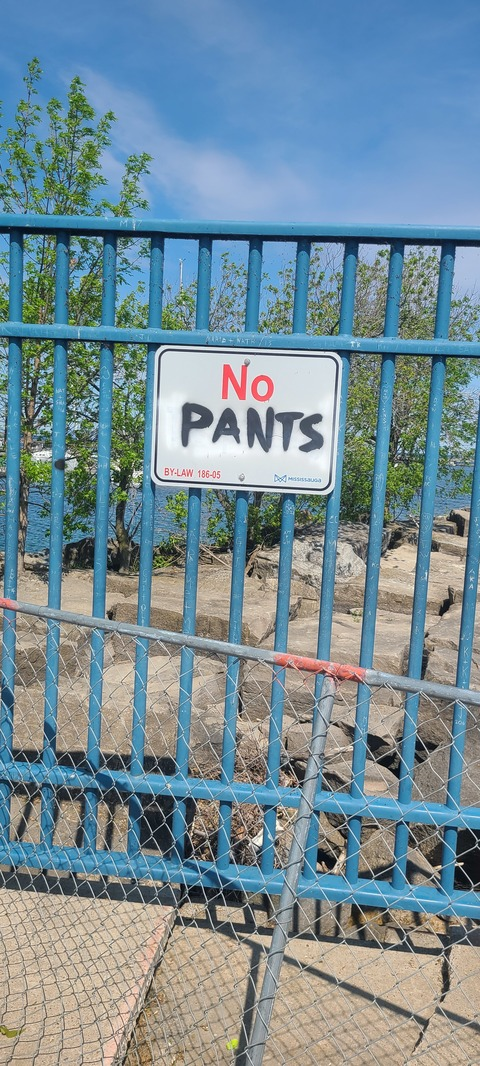 blondshungrybutthole onlyfans leaked picture 2