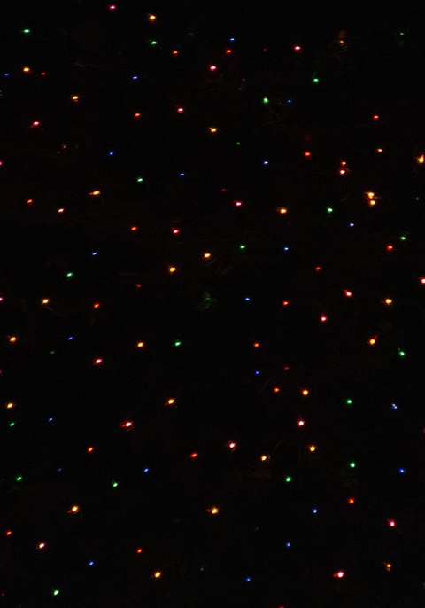 bussy_owo onlyfans leaked picture 2