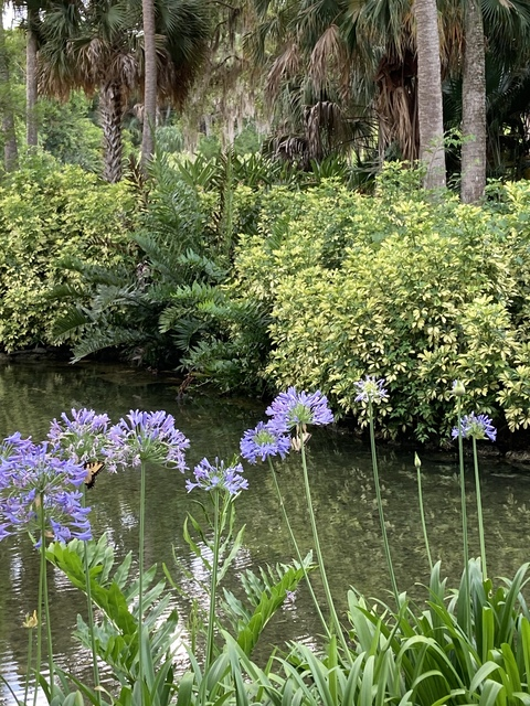 carolyn_kes onlyfans leaked picture 2