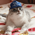 catinthebluehat (Cat) free OnlyFans Leaks 

 profile picture