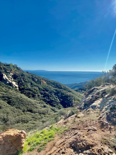 dannymountain10 onlyfans leaked picture 2