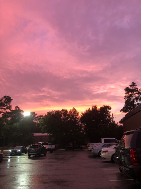 elizasof onlyfans leaked picture 2