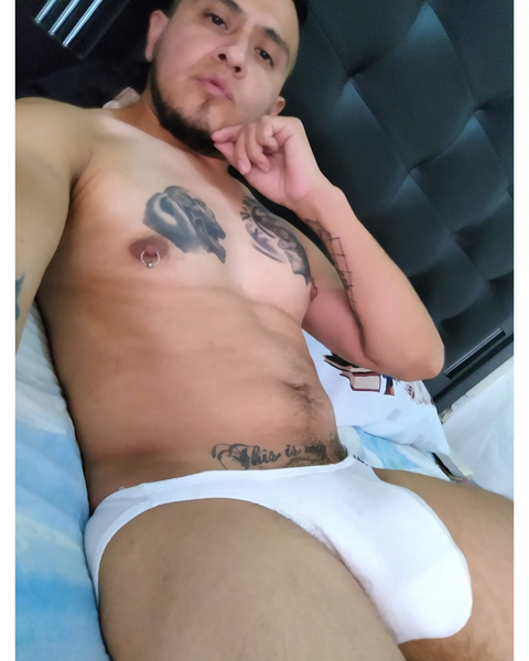 fernandoarellano32 onlyfans leaked picture 2