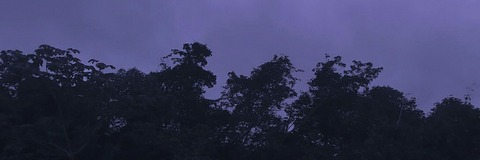 fetishlovr onlyfans leaked picture 2