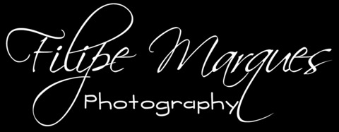 filmarquesphoto onlyfans leaked picture 2