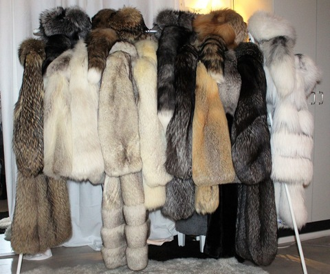 furcoatfun onlyfans leaked picture 2