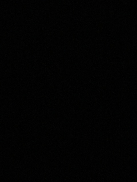 gilmoregirl onlyfans leaked picture 2