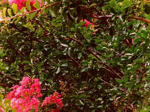 heupinher onlyfans leaked picture 2