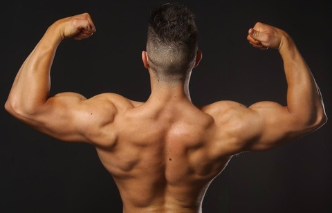 imperialmusclefree onlyfans leaked picture 2