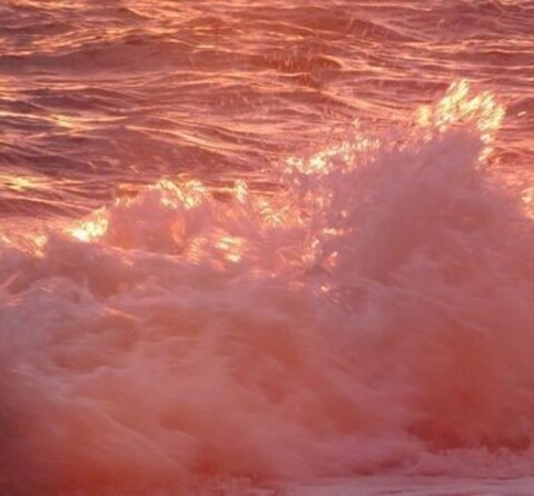 itsivylebelle onlyfans leaked picture 2