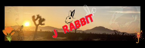 j_the_rabbit onlyfans leaked picture 2