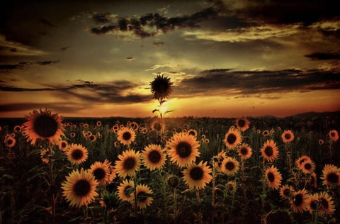 jane1190 onlyfans leaked picture 2