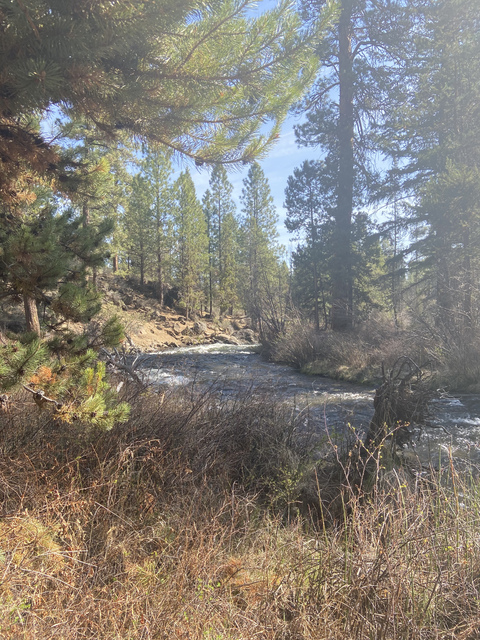 johnnymoonman onlyfans leaked picture 2