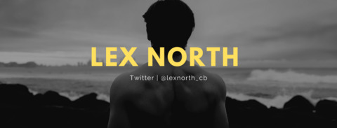 lexnorth onlyfans leaked picture 2