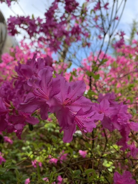 lunarg0ddess onlyfans leaked picture 2