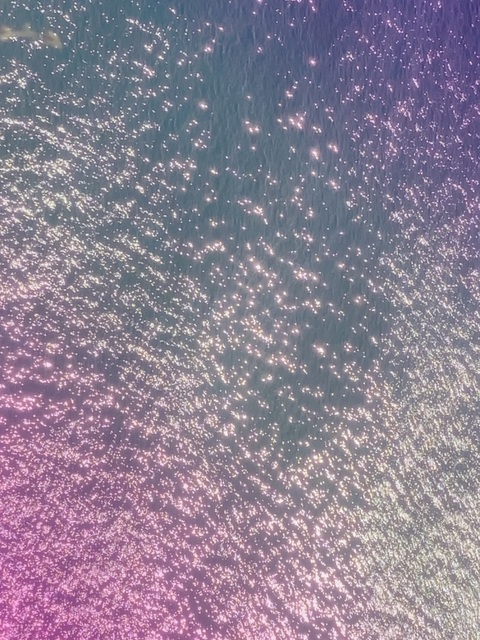 lycheegetsdown onlyfans leaked picture 2