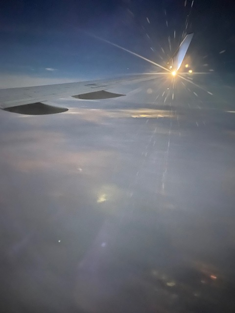 madihowee onlyfans leaked picture 2