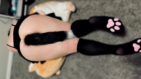 misocute onlyfans leaked picture 2