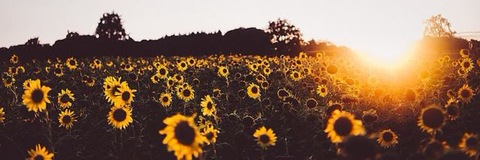 missjasminebaby onlyfans leaked picture 2