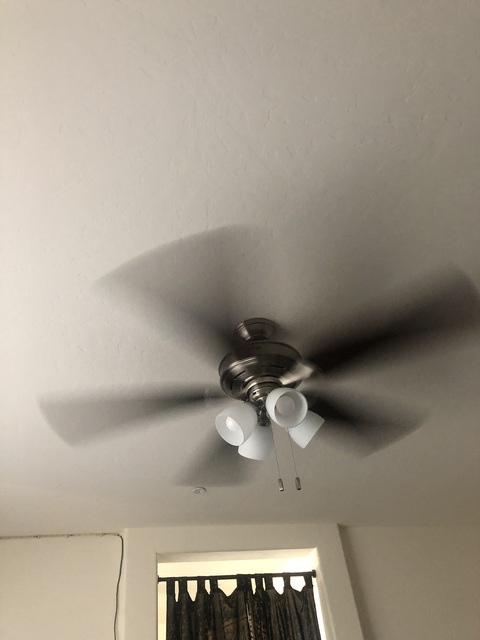 nfbsailor onlyfans leaked picture 2