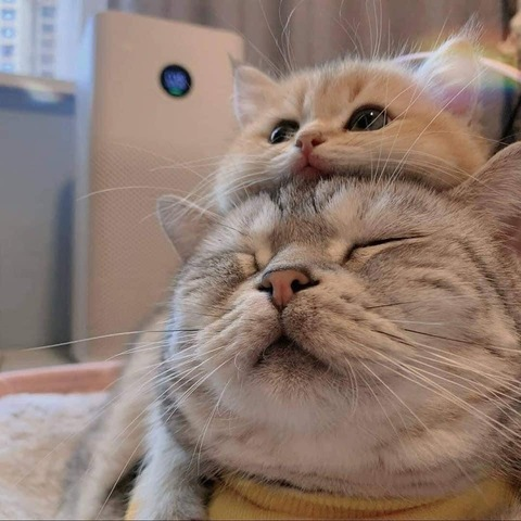 not3bdy onlyfans leaked picture 2