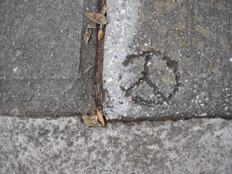 notyoursomeone onlyfans leaked picture 2