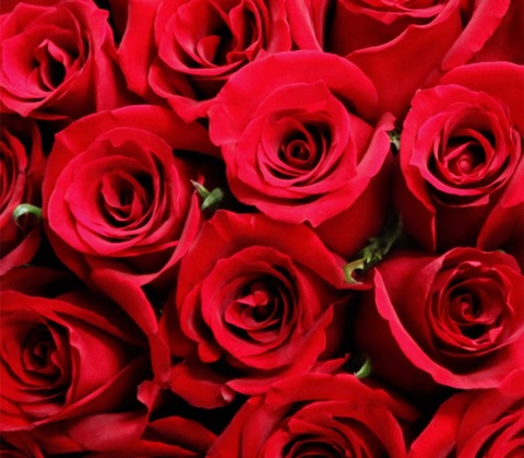 nouflou onlyfans leaked picture 2