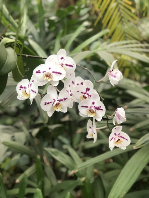 peachy_girll onlyfans leaked picture 2