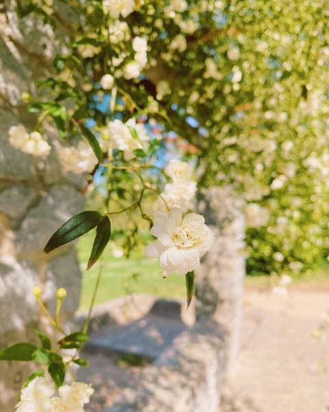 pearshapedblonde onlyfans leaked picture 2