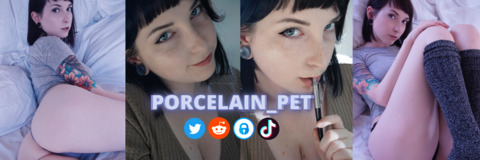 porcelain_pet onlyfans leaked picture 2