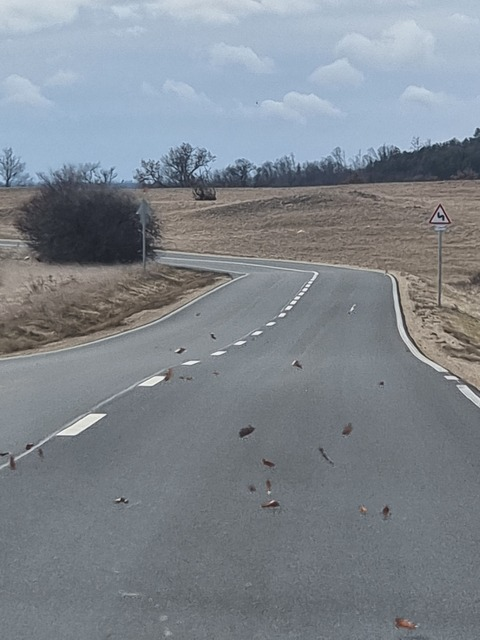 powabttm onlyfans leaked picture 2