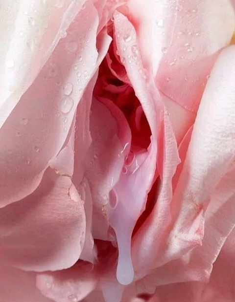 prettypetitedream onlyfans leaked picture 2