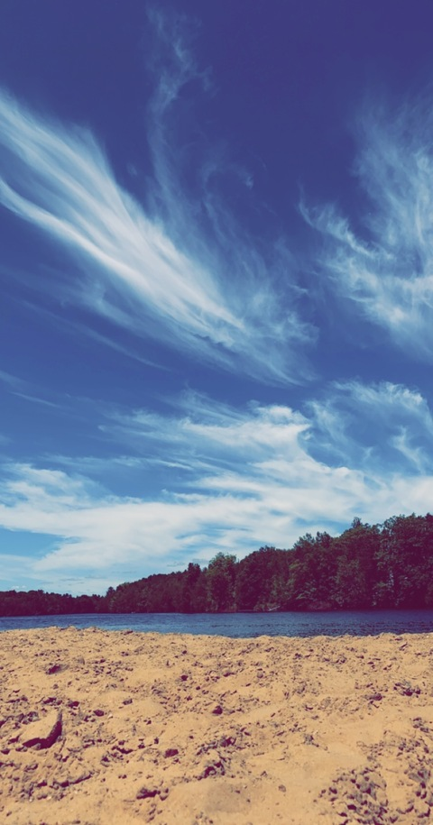 queenbwii onlyfans leaked picture 2