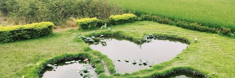 queensaraiii onlyfans leaked picture 2