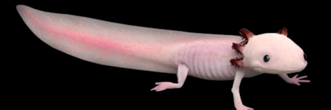 raiiny_ onlyfans leaked picture 2