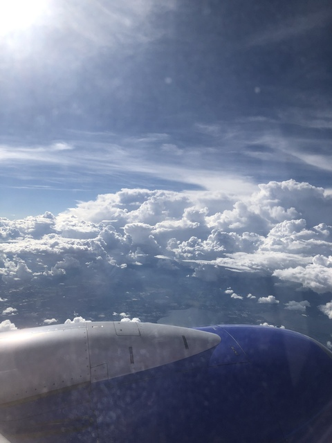 rickyvip onlyfans leaked picture 2