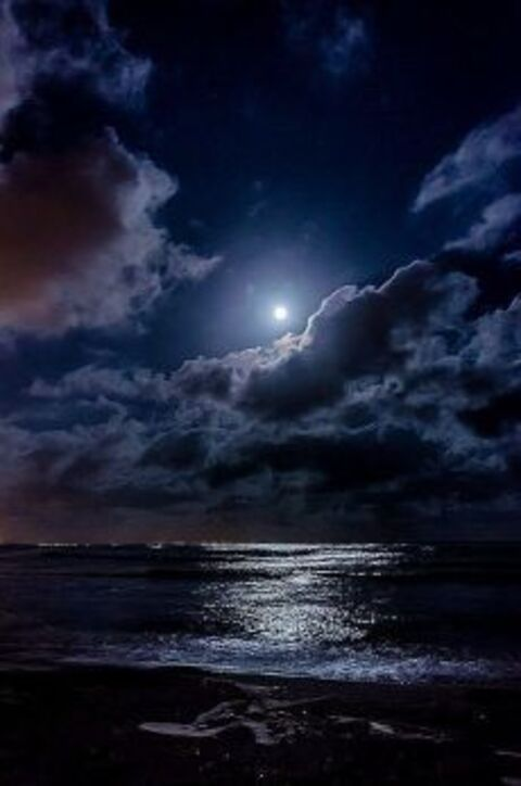 river_bbyy onlyfans leaked picture 2