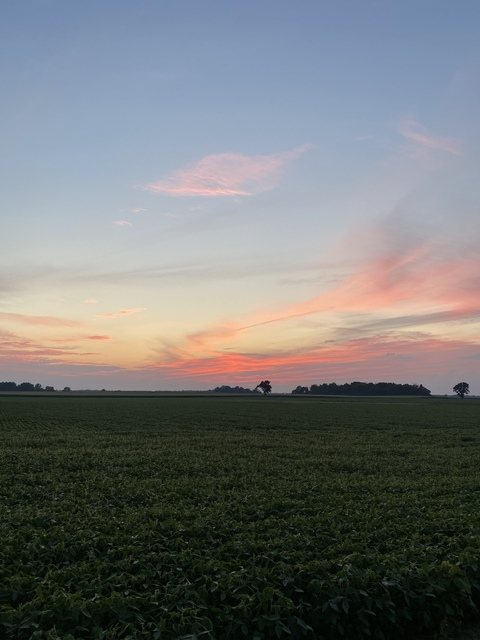 roaminghog onlyfans leaked picture 2