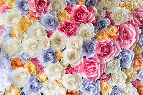 rose_evans_xx onlyfans leaked picture 2