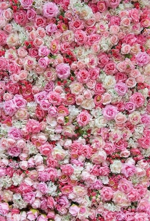 skyleefae onlyfans leaked picture 2